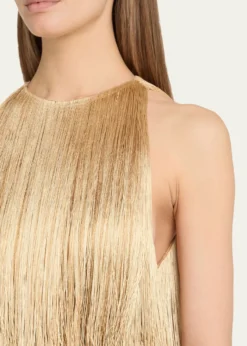 Oscar de la RentaSleeveless Ombre Fringe Maxi Dress