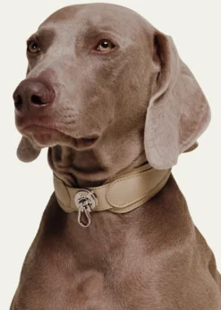 PAGERIEThe Dorro Dog Collar