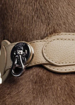 PAGERIEThe Dorro Dog Collar