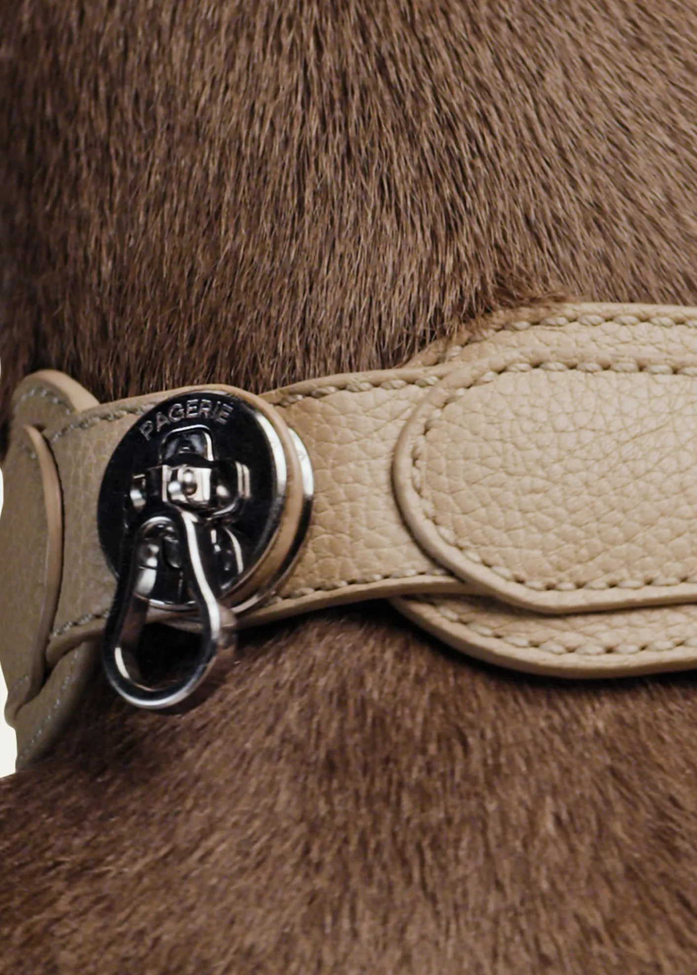 PAGERIEThe Dorro Dog Collar