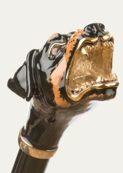 Pasotti Since 1956Men's Rottweiler-Handle Umbrella