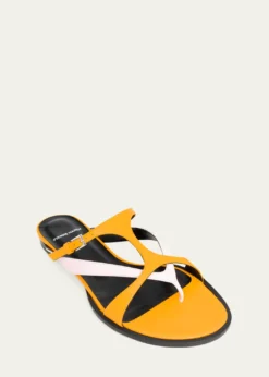 Pierre HardyBrasilia Bicolor Leather Thong Sandals