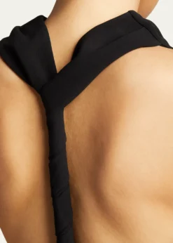 Proenza SchoulerHalter-Neck Matte Crepe Backless Gown