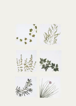 SUMMERILL & BISHOPHerbarium Napkins, Set of 6
