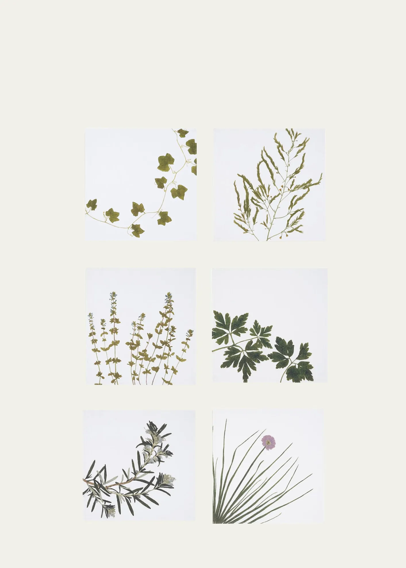 SUMMERILL & BISHOPHerbarium Napkins, Set of 6