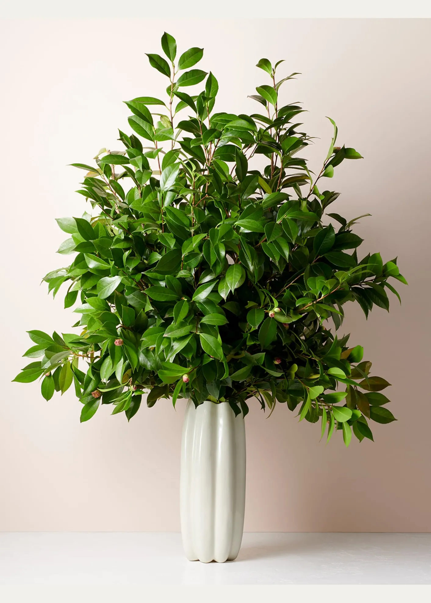 THIS ITEM IS NOT AVAILABLE.AERINMirabelle Tall Vase