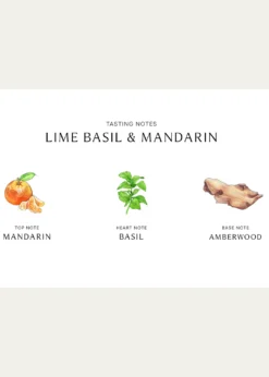 THIS ITEM IS NOT AVAILABLE.Jo Malone London8.5 oz. Lime Basil & Mandarin Body & Hand Wash