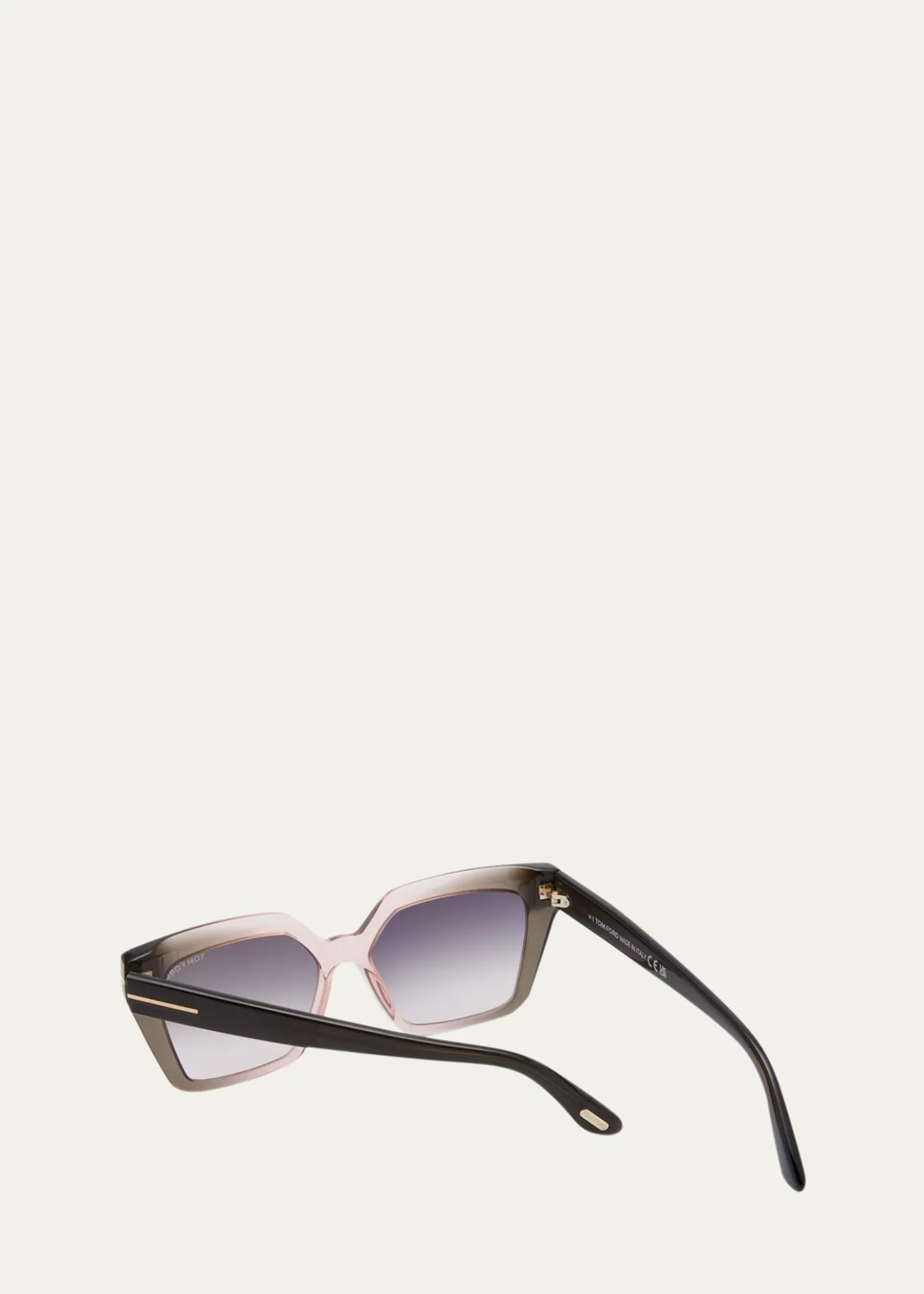 TOM FORDWinona Transparent Two-Tone Acetate Cat-Eye Sunglasses