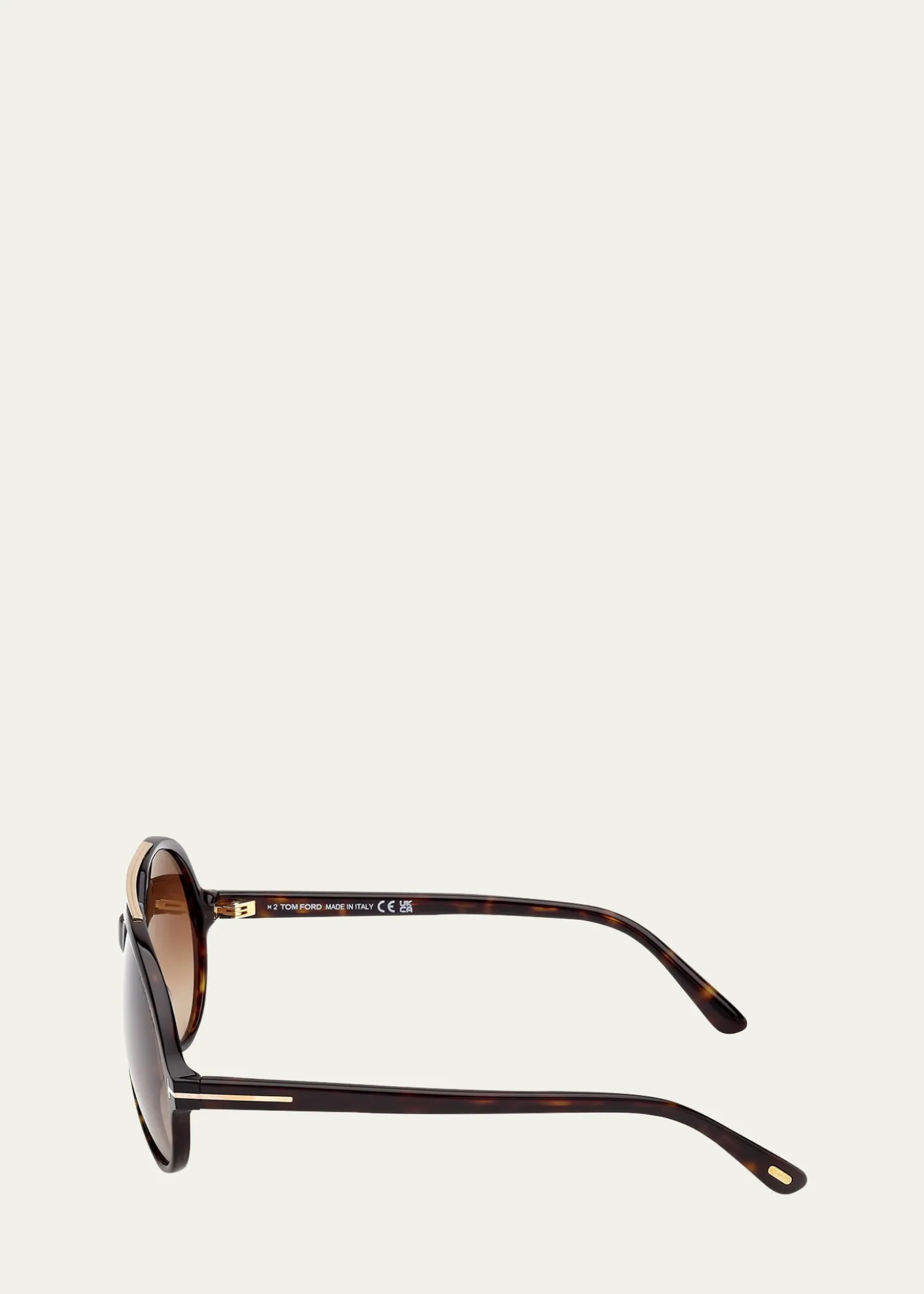 TOM FORDAalto Acetate Round Sunglasses