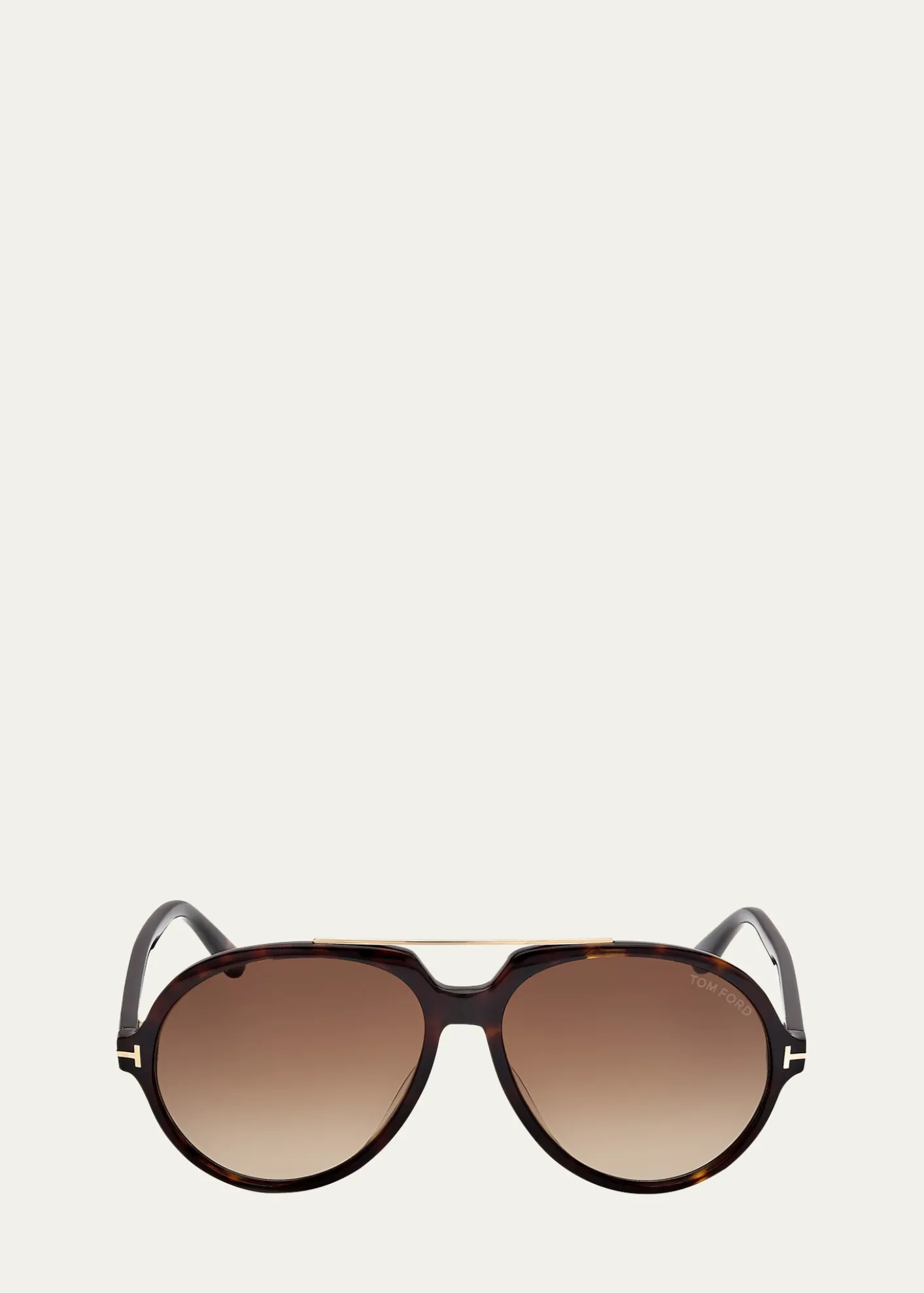 TOM FORDAalto Acetate Round Sunglasses