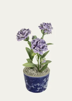 Tommy MitchellCarnation January Birth Flower in Ceramic Pot