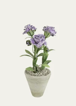 Tommy MitchellCarnation January Birth Flower in White Terracotta Pot