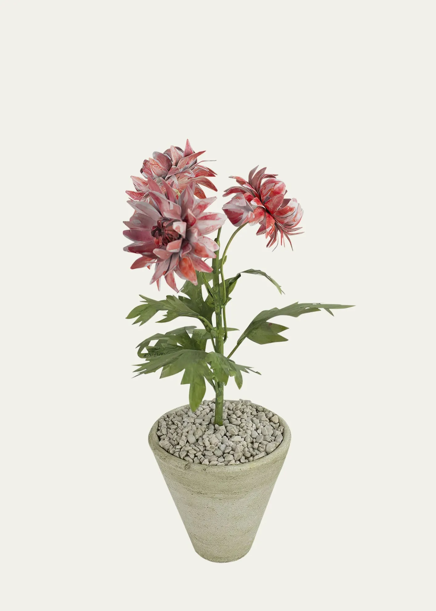 Tommy MitchellCrysanthemum November Birth Flower in White Terracotta Pot