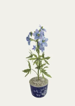 Tommy MitchellDelphinium July Birth Flower in Ceramic Pot