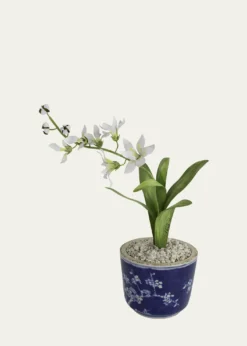 Tommy MitchellFreesia March Birth Flower in Ceramic Pot