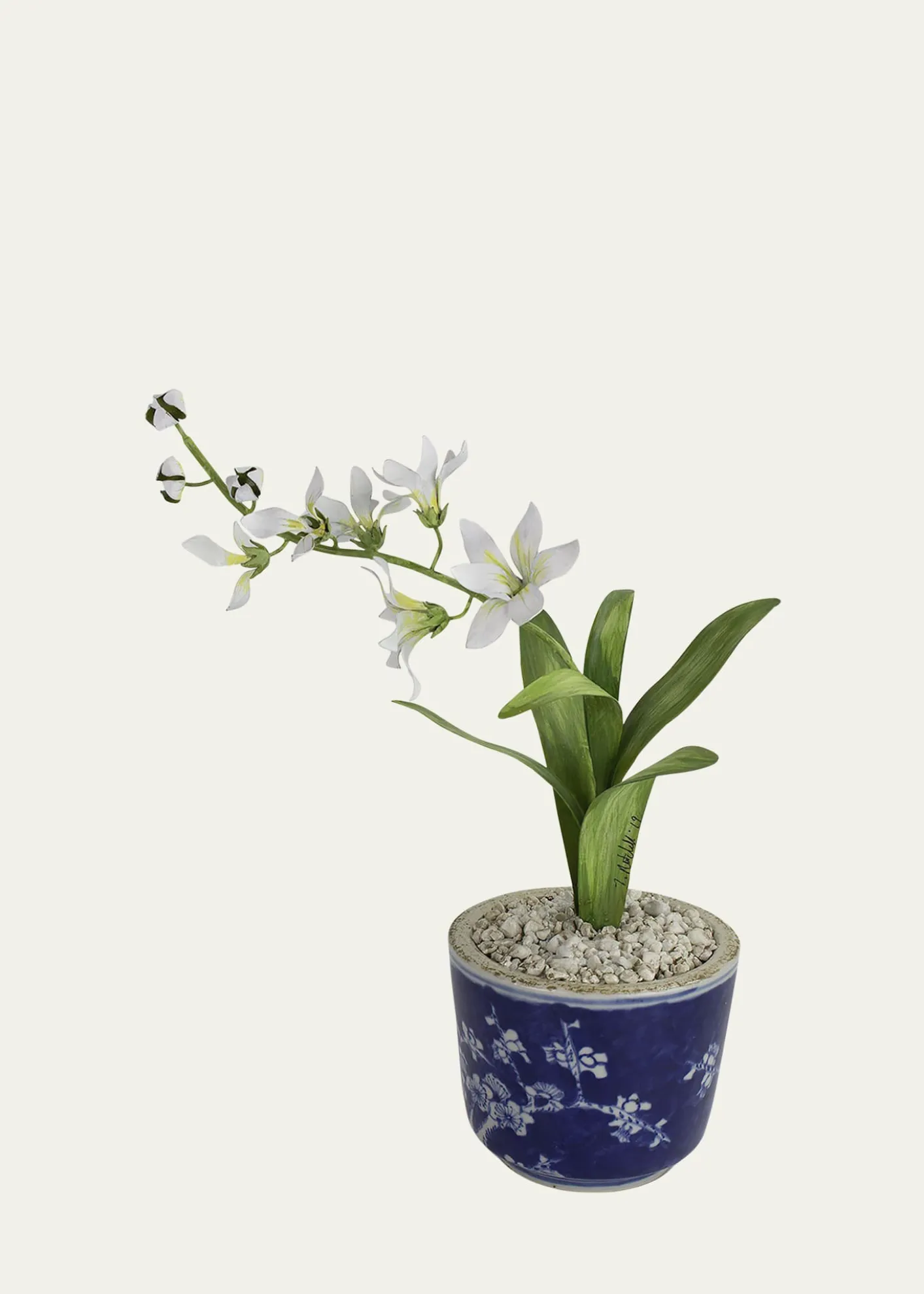Tommy MitchellFreesia March Birth Flower in Ceramic Pot
