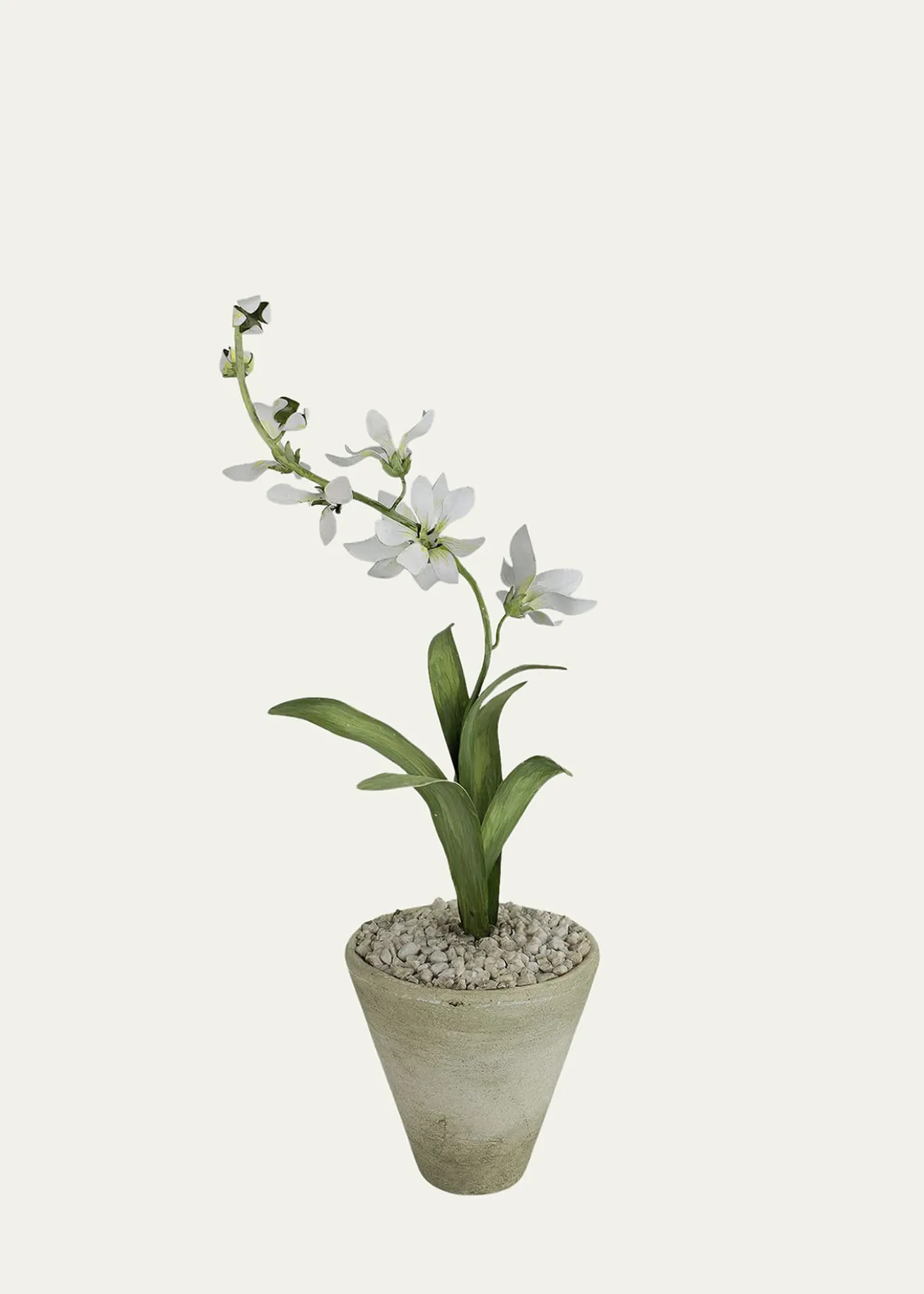 Tommy MitchellFreesia March Birth Flower in White Terracotta Pot