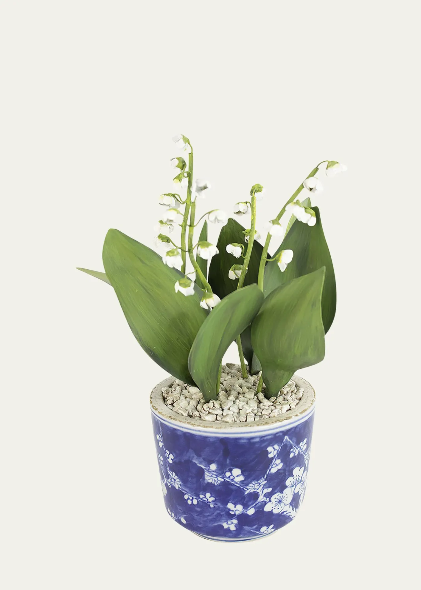 Tommy MitchellLily of the Valley May Birth Flower in Ceramic Pot