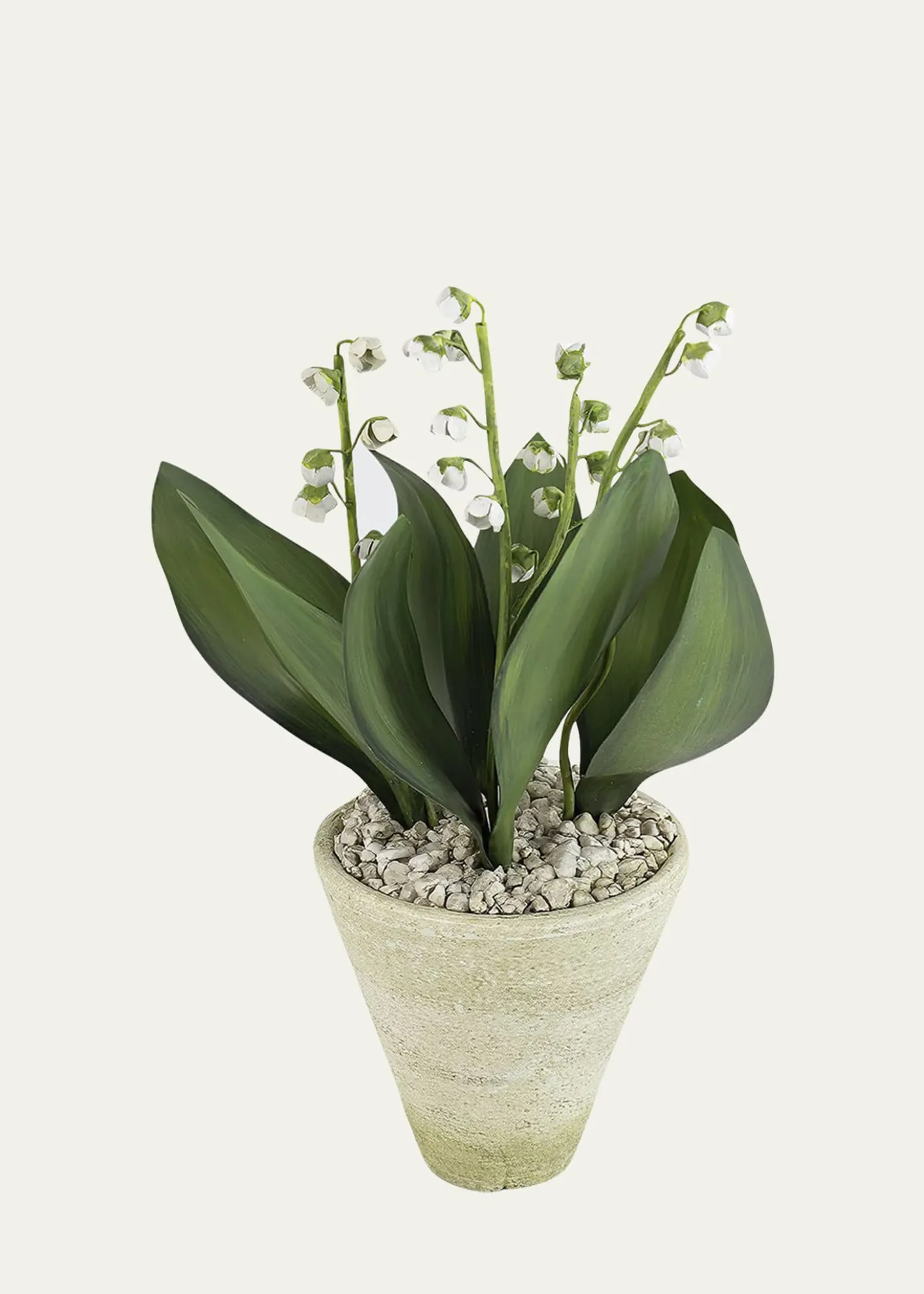 Tommy MitchellLily of the Valley May Birth Flower in White Terracotta Pot