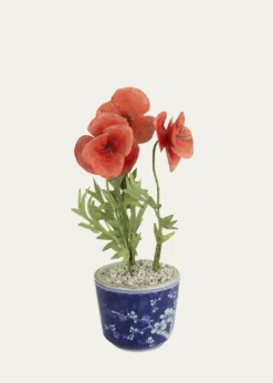 Tommy MitchellPoppy August Birth Flower in Ceramic Pot