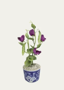 Tommy MitchellSweet Pea April Birth Flower in Ceramic Pot