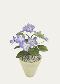 Tommy MitchellViolet February Birth Flower in White Terracotta Pot