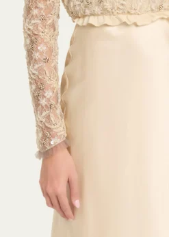 Valentino GaravaniEmbroidered Lace Long-Sleeve Silk Gown
