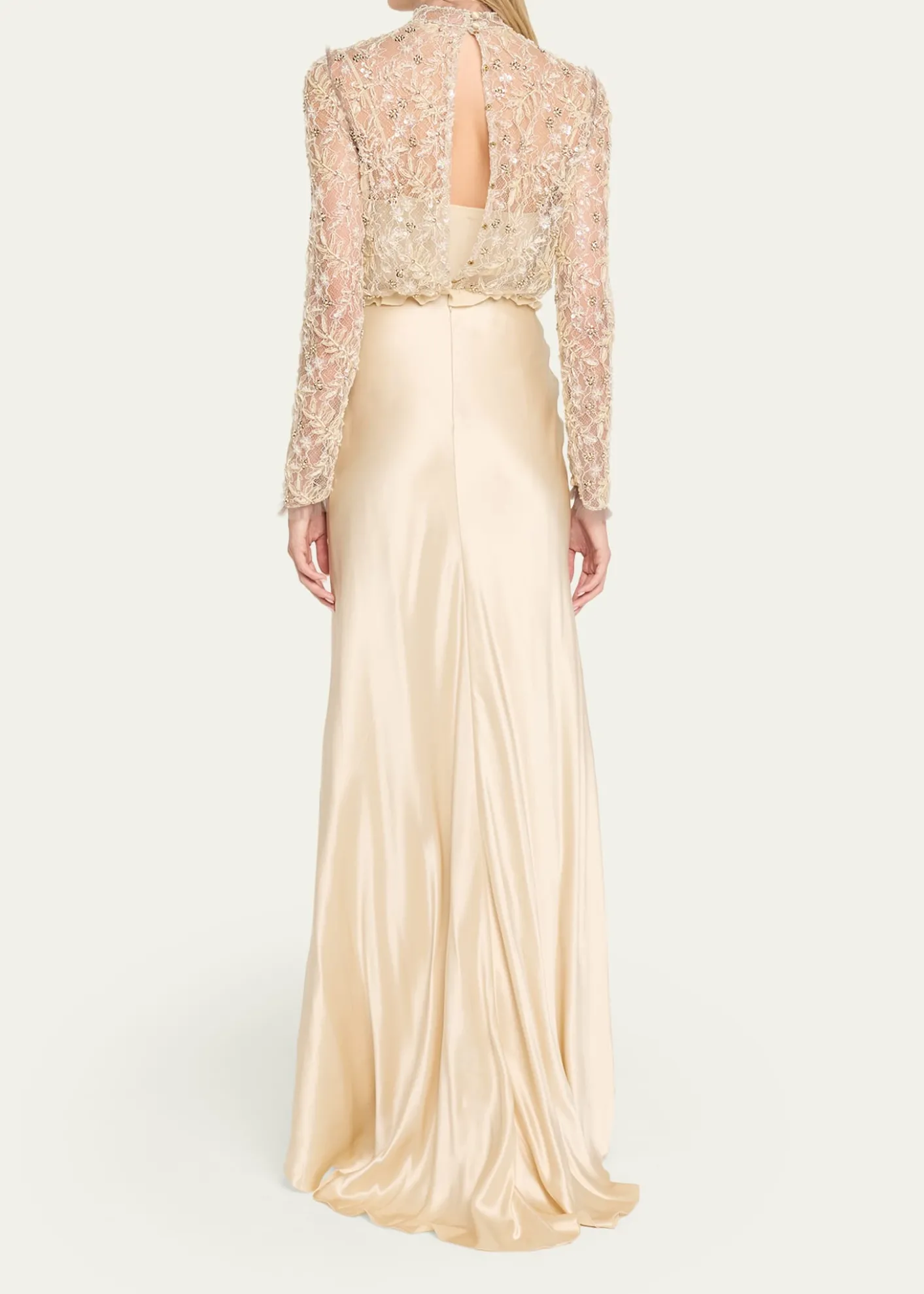 Valentino GaravaniEmbroidered Lace Long-Sleeve Silk Gown
