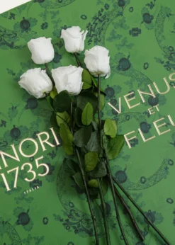 Venus ET Fleurx Ginori 1735 Eternity Roses in Ming Porcelain Vase, 20" Tall